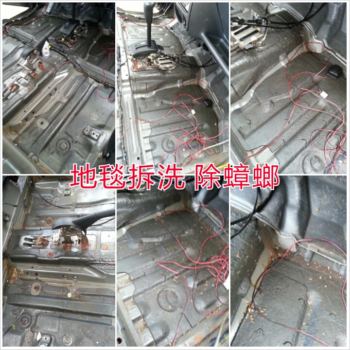 汽車內部除蟑