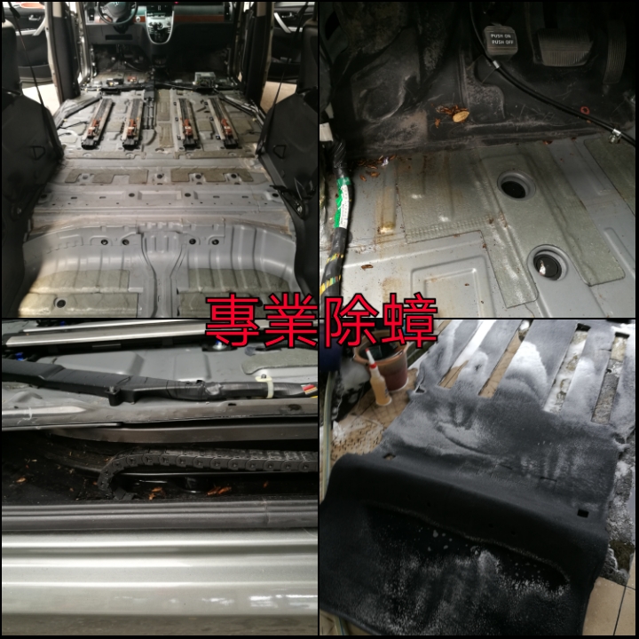 汽車內部除蟑