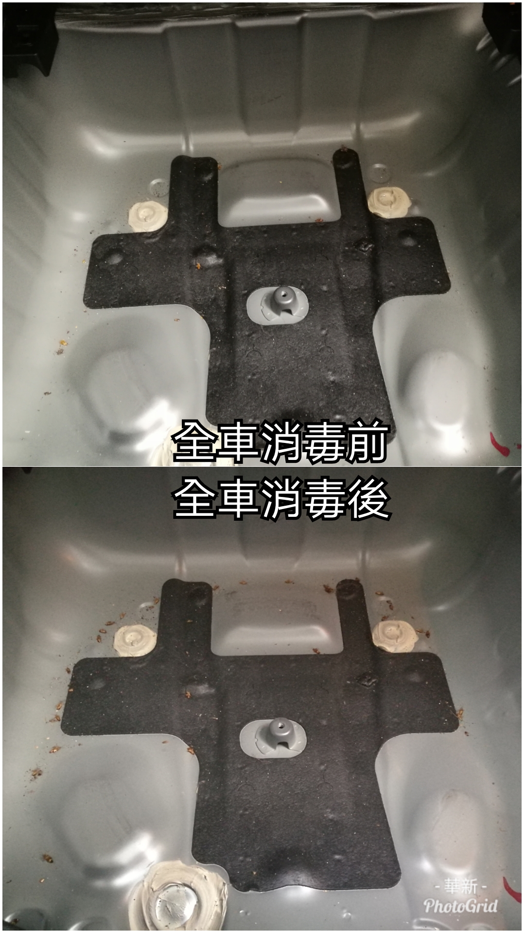 汽車內部除蟑