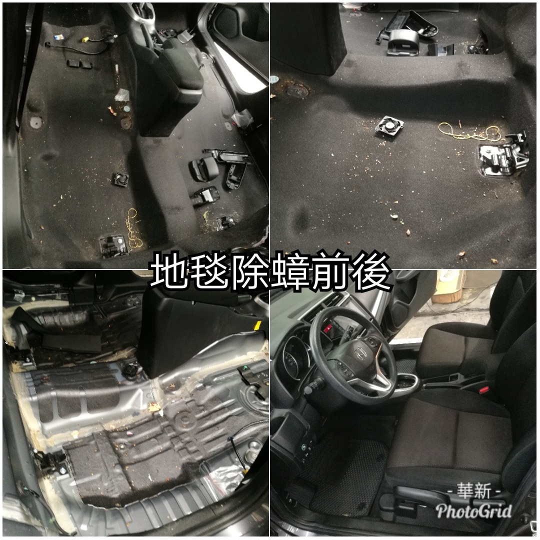 汽車內部除蟑